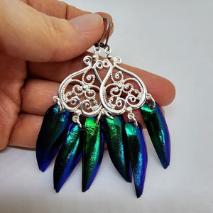 Beautiful, Exotic, Beetle wing statement Earrings, Oddities, Curiosities jewelry