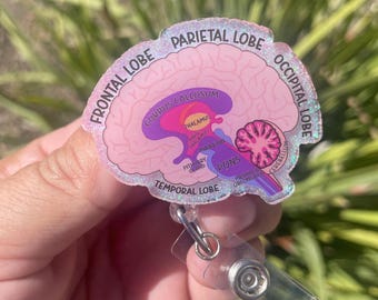 Anatomical Brain, Brain Badge Reel, Nuerology Gifts, Nuerology Badge Reel, Nuerologist Gifts, Nurse Appreciation Gift, Brain Model