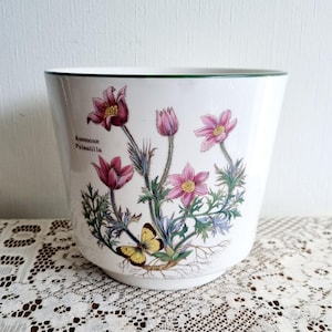 Könnte beinhalten: Weißer Keramiktopf mit grünem Rand, der eine botanische Illustration von rosa und weißen Blüten mit grünen Blättern und einem gelben Schmetterling zeigt. Der Text "Anemone Pulsatilla" ist auf den Topf gedruckt.