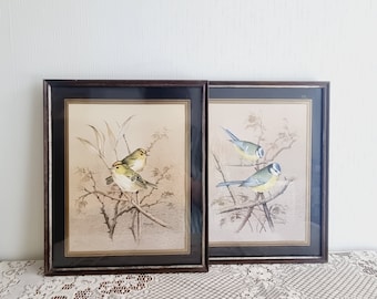 2 gravures vintage d&#39;oiseaux par Maynard
