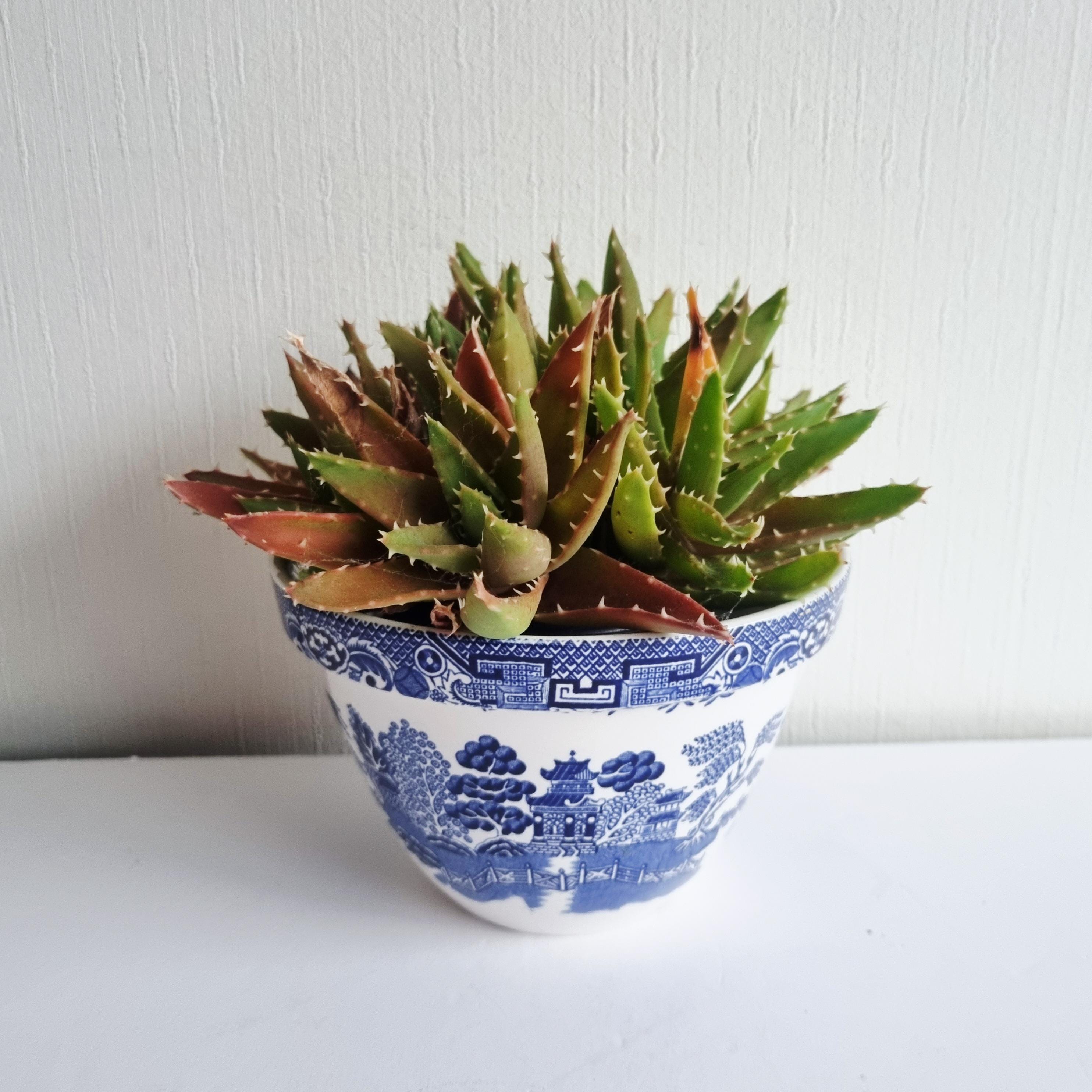 jardinière/jardinere vintage en saule