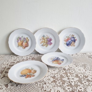 Arzberg アルツベルグ Secunda 青ライン 食器セット Arzberg