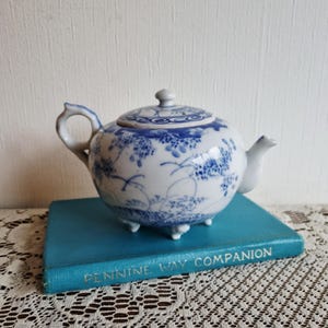 Puede incluir: Una tetera de porcelana blanca y azul con tapa, asa y boquilla. La tetera presenta un diseño floral azul y se apoya sobre tres pequeños pies. La tetera está sobre un libro azul con el texto "PENINNE WAY COMPANION".
