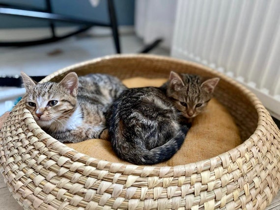 fairtrade /& vegan Rattan handwoven cat basket with black and white block print pillow