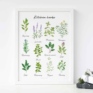 Watercolor herbs painting, Herbs print, Kitchen print, Food illustration, Herbs poster, Kitchen Printable, Herbs Printable