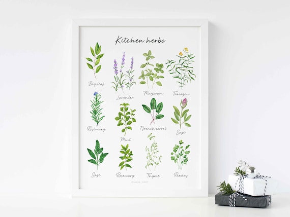 Watercolour herbs painting Herbs print Kitchen print Food | Etsy