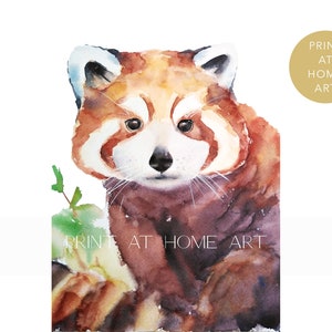 Red panda animal Watercolour Print at home  Wall Art, Decor Art, Wall decor, Digital Download PNG