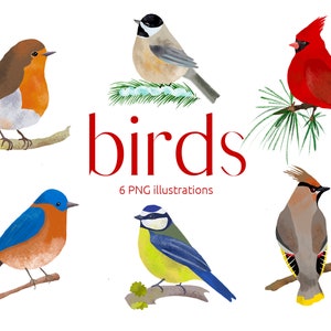 Birds Illustration Cli Art , Decor Art, Bird Illustration, PNG ...