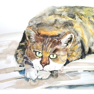 Cat  Watercolour illustration, wall art, decor, original painting, Cat painting, Cat art