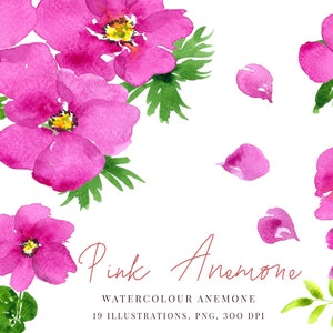 Watercolour Anemone, Pink Anemone, Watercolour flowers - Greenery bouquet, wreath, Wedding clipart, Digital Download PNG