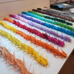 Può includere: Un arcobaleno di gru origami disposte in file su una superficie bianca. Ogni fila presenta un colore diverso, a partire da una fila rosa chiaro e terminando con una fila gialla. Le gru sono piegate in uno stile tradizionale, con becchi lunghi e appuntiti e ali piegate.