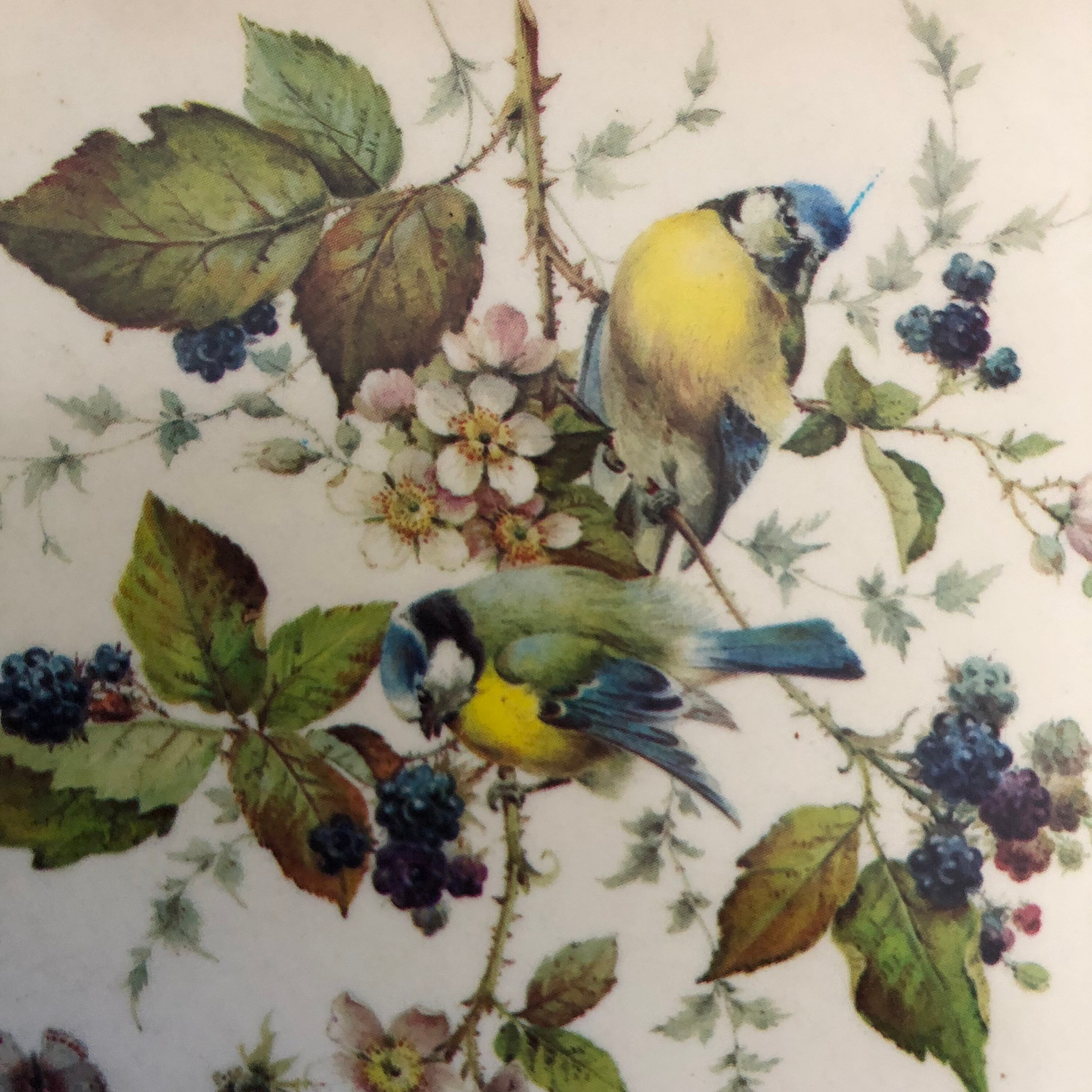 Vintage Pimpernel Round Coasters in Excellent Condition Etsy