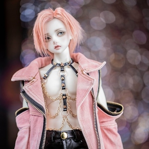 Jacket for SD13 / SD17 / Hound