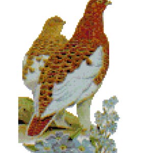 Alaska State Bird Kreuzstichmuster PDF Download