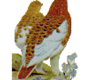 Alaska State Bird Counted Cross Stitch Pattern PDF Download