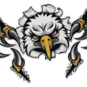 May include: A fierce white eagle head with yellow beak and talons, breaking through a black and white background. The eagle's eyes are yellow and its expression is fierce.