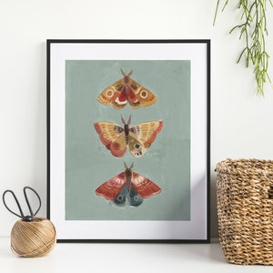 Folk Art Moth illustration - Art Print, Nature Art, Wall art, Home Decor, Nature