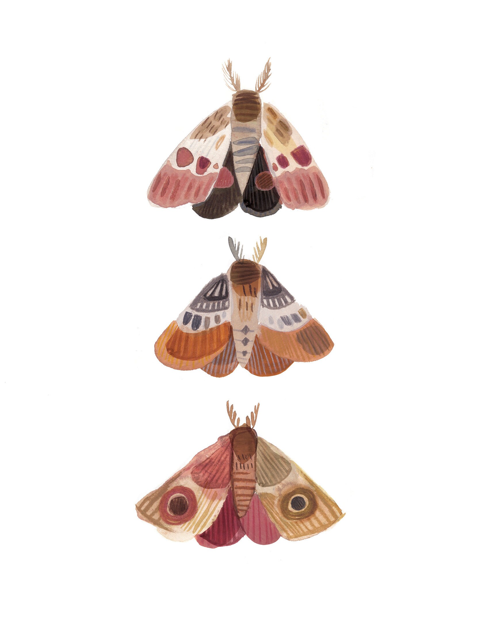 Three Moths Nature Art Print Wall Art Bedroom Decor Moth - Etsy