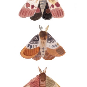 Three Moths Nature Art Print, Wall Art, Bedroom Decor, Moth Art Print ...