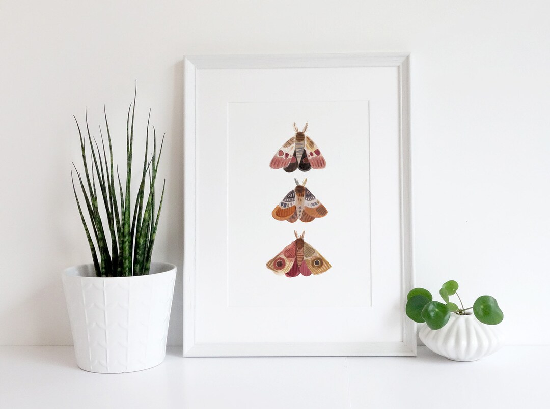 Three Moths Nature Art Print, Wall Art, Bedroom Decor, Moth Art Print ...