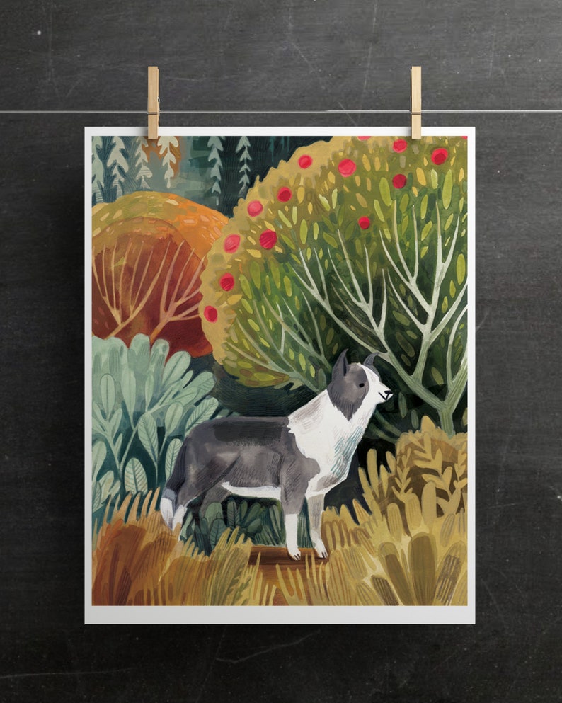 Border Collie Art Print Home Decor Wall Art Border Collie Etsy