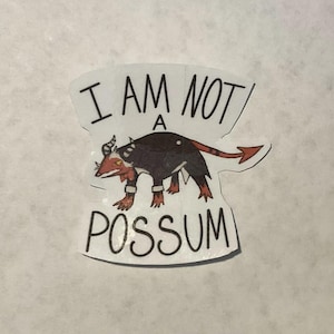 May include: A white sticker with black text that reads "I am not a possum". A cartoon illustration of a red and black possum with a red tail is in the center of the sticker.