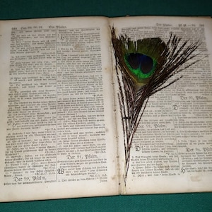German bible