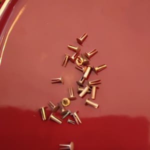 Puede incluir: Un conjunto de pequeños remaches de color cobre, con cabezas planas y redondas y postes divididos, dispersos sobre una superficie roja brillante. Estos sujetadores metálicos se utilizan probablemente para proyectos de artesanía o marroquinería.