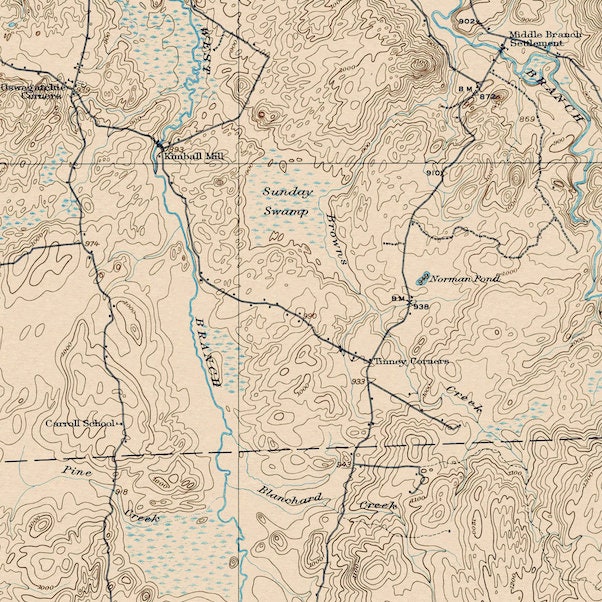 Lake Bonaparte, NY Restored Vintage Map Etsy Canada