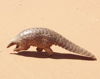 Pangolin Toy Figure Moveable replica plastic Fidget Help bring awareness Baby 