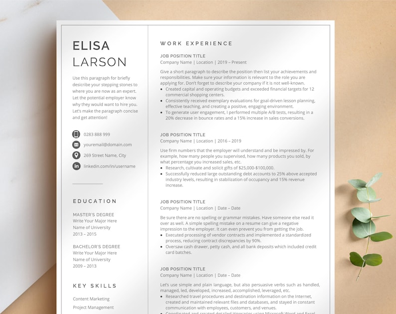 Professional Resume Template for Google Docs, Word & Pages, Resume Template with focus on Work Experience | CEO Resume, 2026 CV Template image 1