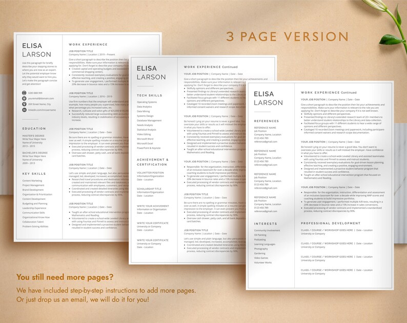 Professional Resume Template for Google Docs, Word & Pages, Resume Template with focus on Work Experience | CEO Resume, 2026 CV Template image 4