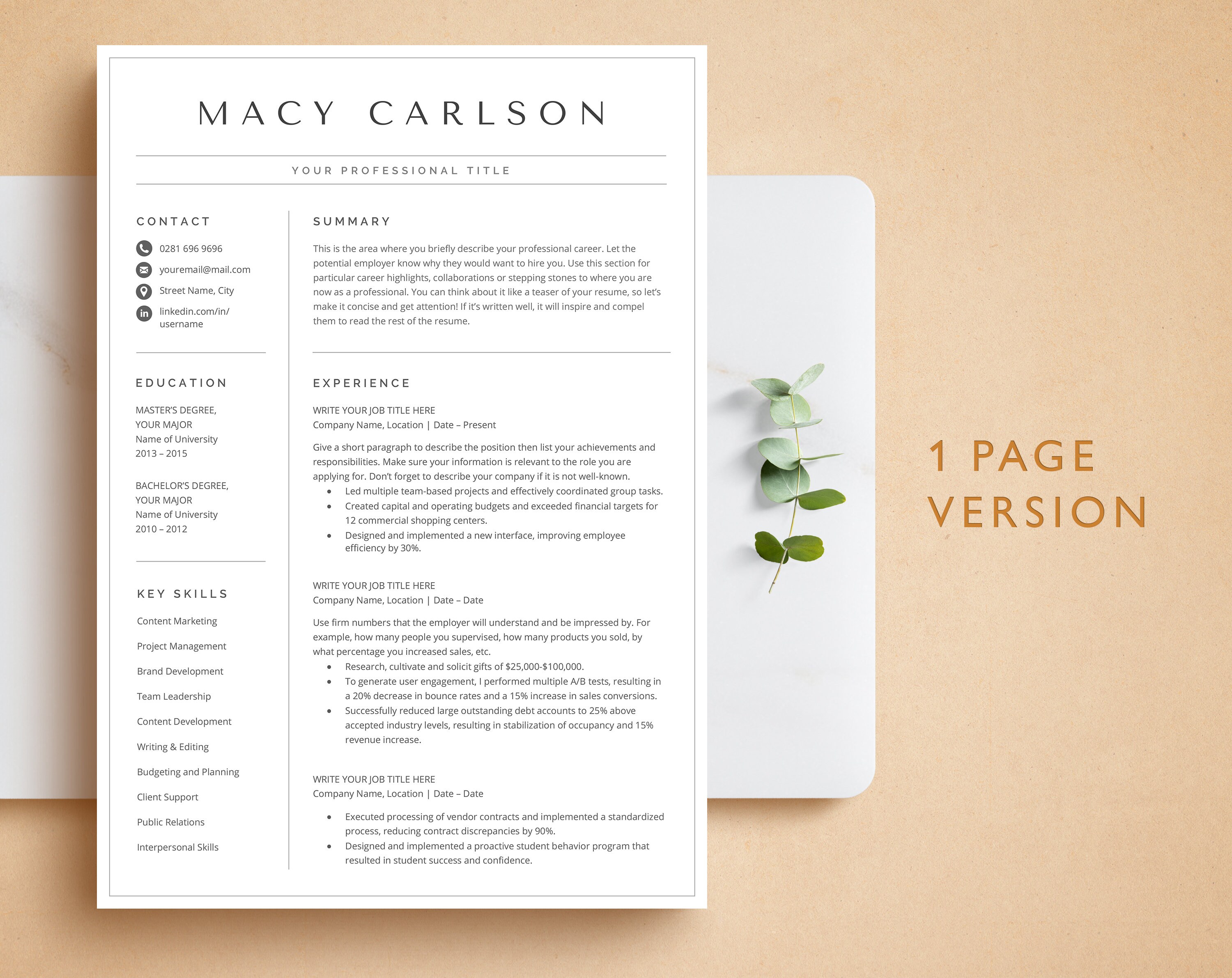 Modern Resume Template for Microsoft Word & Pages, Resume CV Template ...