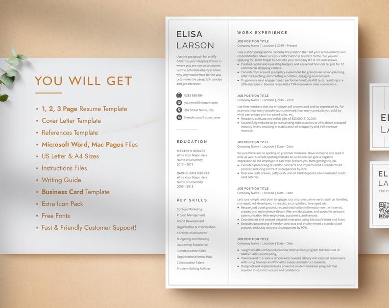 Professional Resume Template for Google Docs, Word & Pages, Resume Template with focus on Work Experience | CEO Resume, 2026 CV Template image 10