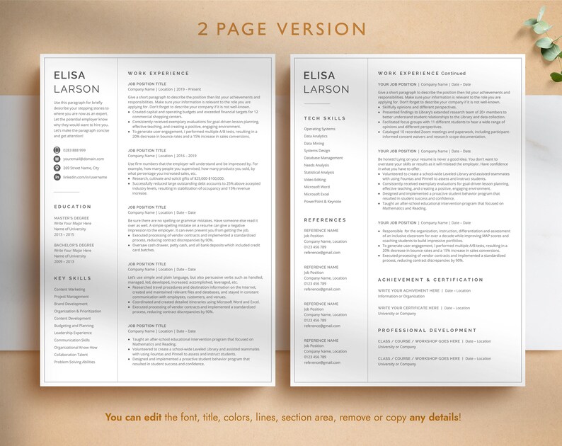 Professional Resume Template for Google Docs, Word & Pages, Resume Template with focus on Work Experience | CEO Resume, 2026 CV Template image 3