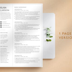 Professional Resume Template for Google Docs, Word & Pages, Resume Template with focus on Work Experience | CEO Resume, 2026 CV Template image 2