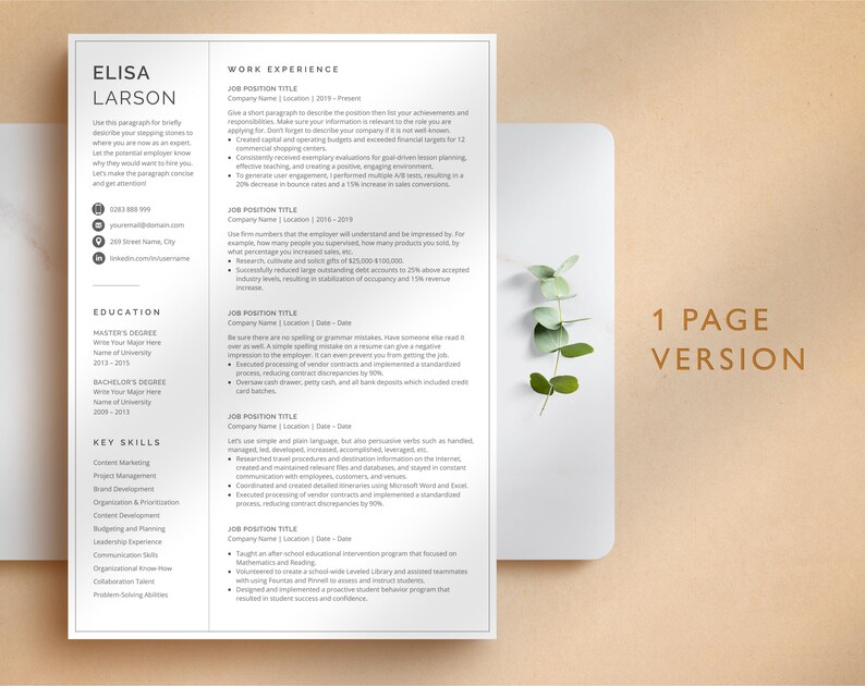 Professional Resume Template for Google Docs, Word & Pages, Resume Template with focus on Work Experience | CEO Resume, 2026 CV Template image 2