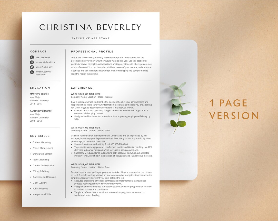 Modern Resume Template for Google Docs, Word & Pages, Business CV ...