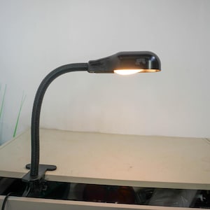 Può includere: Una lampada da tavolo nera a morsetto con braccio flessibile a collo di cigno e una lampadina bianca.