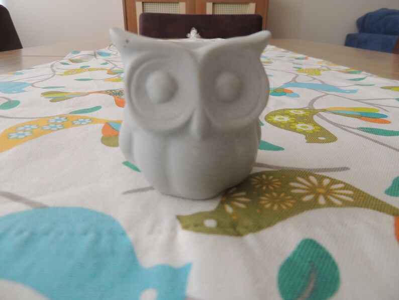 Concrete owl planter Cement planter cute planter Desk planter