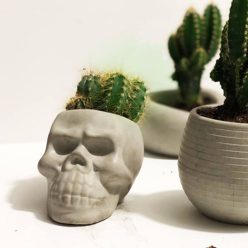 Desk Planter, Concrete, Skull Planter, Cute Planter, With Best Concrete