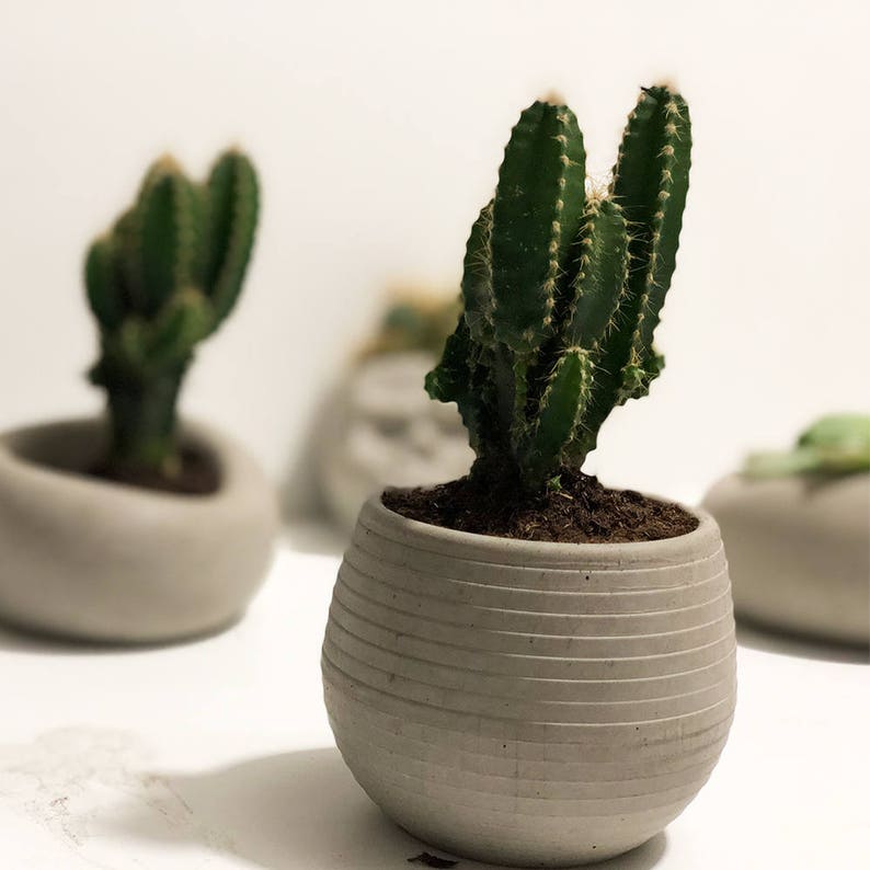 Desk Planter Cement Planter Concrete Cute Planter - Etsy