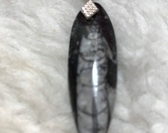 Pendent / Orthoceras / gift idea / unusual pendant / shell pendants