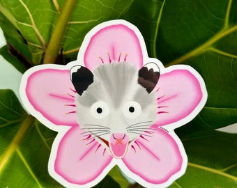 Opossum Cherry Blossom Sticker