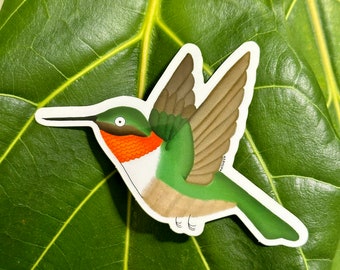 Hummingbird Sticker