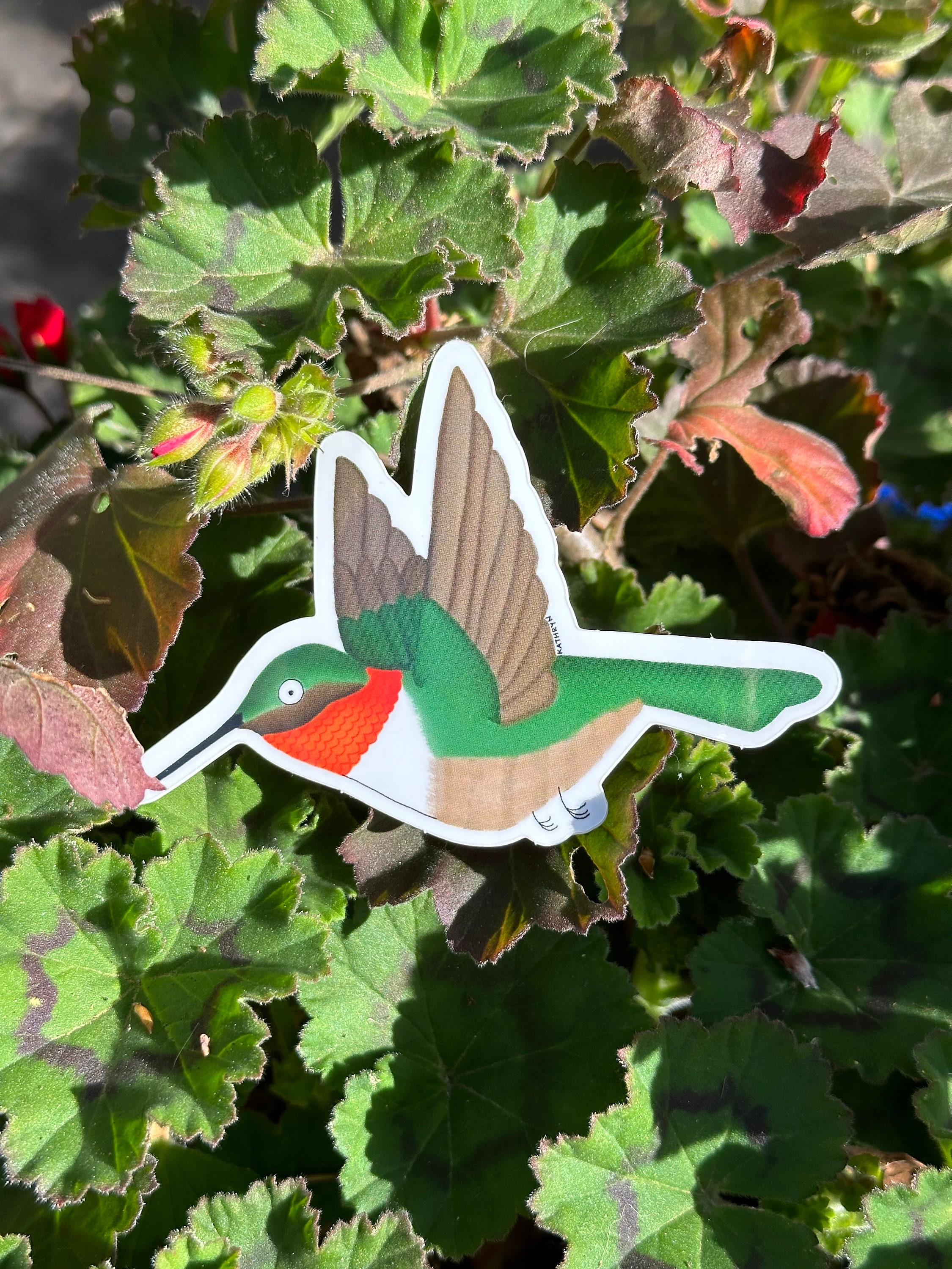 Hummingbird Sticker - Etsy