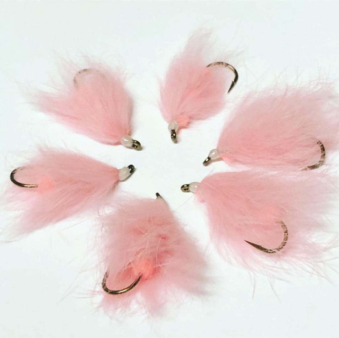Lot De 12 Mouches De Pêche - Sangsue Lumineuse étoile - Taille 2 - Pour Saumon, Truite