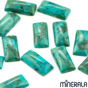 Op de afbeelding: Een verzameling turquoise cabochons, gesneden in rechthoekige vormen. De stenen zijn van een levendige blauwgroene kleur met bruine matrix-insluitsels.