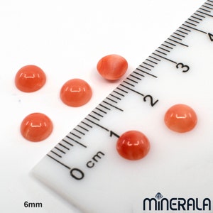 Pu&ograve; includere: Sei cabochon rotondi di colore arancio-rosso, ciascuno con un diametro di 6 mm, sono disposti su una superficie bianca con un righello per la scala. Il righello &egrave; contrassegnato in centimetri.