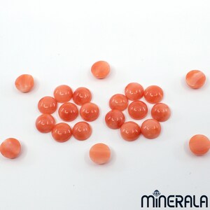 Pu&ograve; includere: Una collezione di 16 cabochon di corallo rotondi, lisci, in tonalit&agrave; rosa e arancio. I cabochon sono disposti in due gruppi da otto, con alcuni sparsi intorno a loro.